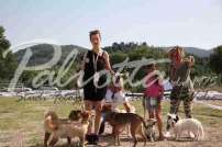 2 Esposizione canina 29.6.2014 Pico - IMG_4043